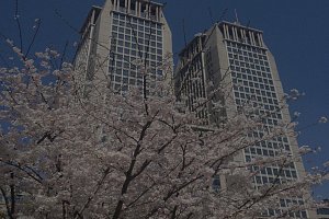 Fudan pre-University - программа подготовки на бакалавра в Фудань