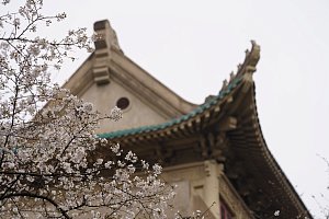 Wuhan University