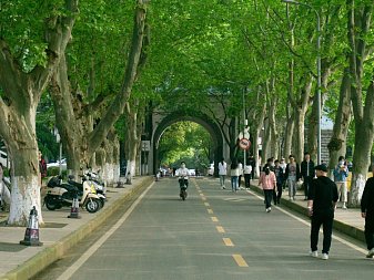 Wuhan University - курсы китайского