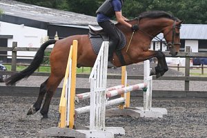 Whitgift Summer School