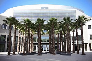 New York University Abu Dhabi