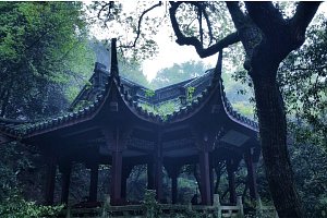 Zhejiang University