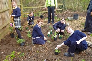 Dragon Preparatory School