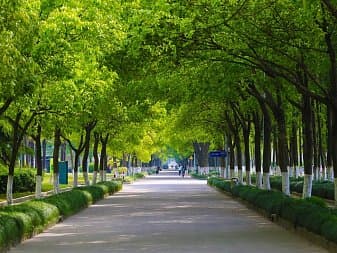 Shanghai Normal University