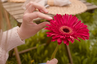 Можно ли сохранить садовый домик?