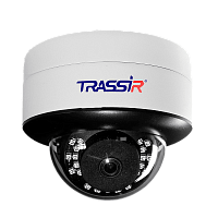 TRASSIR TR-D3151IR2 v2 3.6