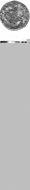 Купить ЗУБР ГОСТ 4029-63, 25 x 2 мм, цинк, 5 кг, толевые гвозди (305210-20-025) в интернет-магазине zubr-vrn в Воронеже