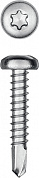 KRAFTOOL DS-P, 25 х 4.2 мм, А2, сверло, полукруглая головка, ТХ20, 400 шт, саморез нержавеющий (300931-42-025)