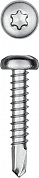 KRAFTOOL DS-P, 25 х 4.8 мм, А2, сверло, полукруглая головка, ТХ25, 300 шт, саморез нержавеющий (300931-48-025)