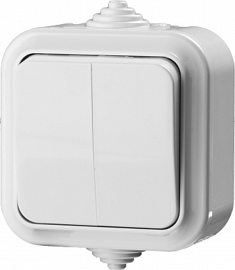 Купить STAYER MAXIMA, белый IP54, двухклавишный выключатель (54302-W) в интернет-магазине zubr-vrn в Воронеже