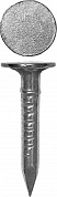 ЗУБР 20 x 3 мм, цинк, 100 г, гвозди с большой потайной головкой (305096-30-020)