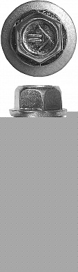 Купить ЗУБР СКМ, 38 х 5.5 мм, цинк, 1500 шт (9,3 кг.), кровельный саморез, Профессионал (4-300310-55-038) в интернет-магазине zubr-vrn в Воронеже