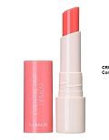 THE SAEM БАЛЬЗАМ-СТИК ДЛЯ ГУБ SAEMMUL ESSENTIAL TINT LIPBALM CR01