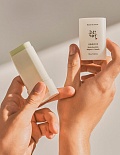 BEAUTY OF JOSEON МАТИРУЮЩИЙ СОЛНЦЕЗАЩИТНЫЙ СТИК MATTE SUN STICK MUGWORT + CAMELIA SPF 50+ PA++++