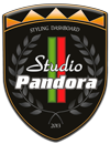 Pandora Styling Studio