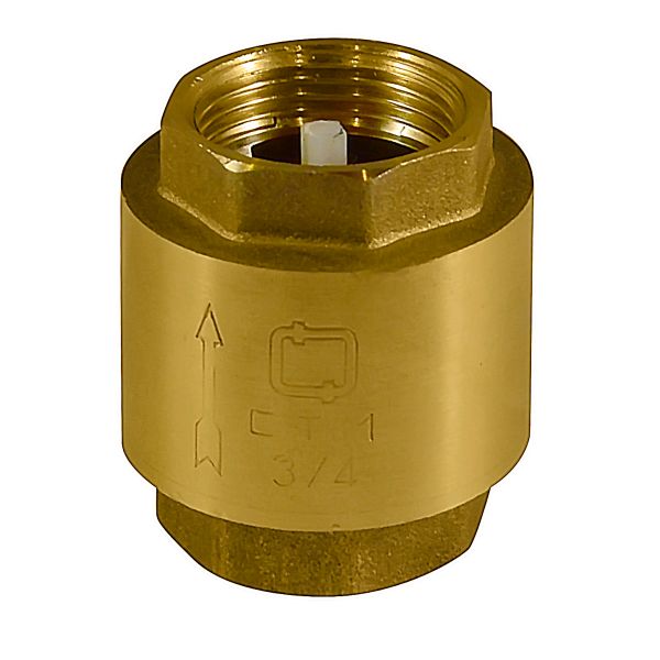 фото Обратный клапан 1" СТМ