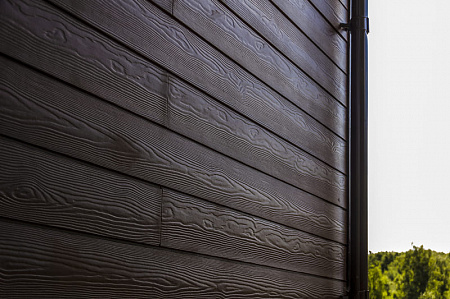 Фиброцементный сайдинг Cedral Click Wood под дерево, 3600x186 мм, Серебристый минерал (С51)