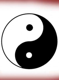 Ying Yang