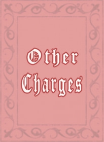 Other Charges