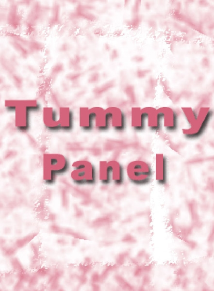 Tummy Control Panel