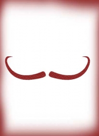 Mustache - n