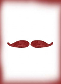Mustache - x