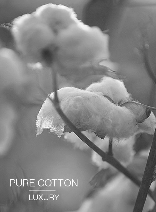 Cotton Alleo Blue Suit - Click Image to Close