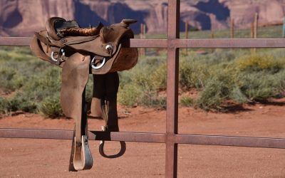 How to Use Saddle Soap on Leather?