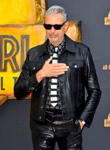 Jeff Goldblum Leather Jacket #1