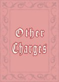 (image for) Other Charges