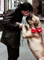 (image for) Sylvester Stallone Rocky 2 Leather Trench Coat