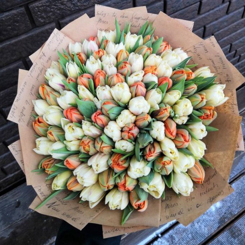 Букет из 101 оранжево-белого тюльпана