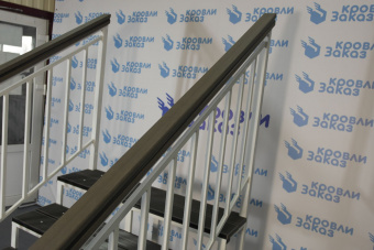 картинка Уличная лестница Оптима 5 ступеней с белыми перилами от магазина "Заказ Кровли"
