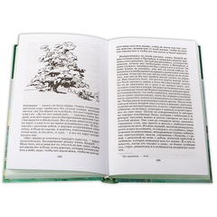 Детская книга "ШБ ТолстойЛ. Война и мир т.2(компл4т)" - 510 руб. Серия: 10 класс, Артикул: 5200027