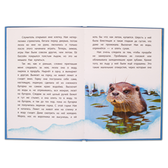 Детская книга "КзК Чаплина. Ная - выдрёнок (тверд переплет)" - 276 руб. Серия: Книга за книгой , Артикул: 5400508