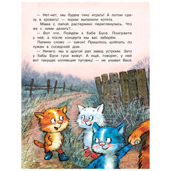 Детская книга "Зенюк. Ай да концерт! Или неожиданные приключения" - 470 руб. Серия: У нас в Котофеевке, Артикул: 5508031