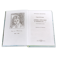 Детская книга "ШБ Есенин. "Душа грустит о небесах"" - 390 руб. Серия: Школьная библиотека, Артикул: 5200162