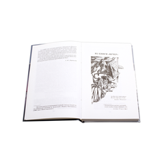 Детская книга "ШБ Ахматова. Стихотворения и поэмы" - 580 руб. Серия: 11 класс, Артикул: 5200093