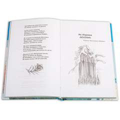 Детская книга "ШБ Гумилев. "Я конквистадор в панцире железном..."" - 342 руб. Серия: Школьная библиотека, Артикул: 5200201
