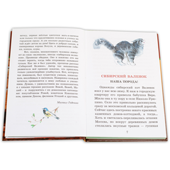 Детская книга "ШБ Вьюгина. Сибирский Валенок" - 270 руб. Серия: Школьная библиотека, Артикул: 5200283