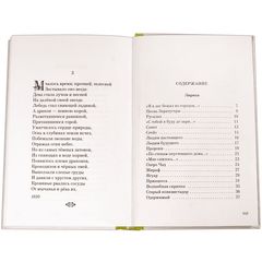 Детская книга "Николай Гумилев" - 320 руб. Серия: Поэзия юности , Артикул: 5220005