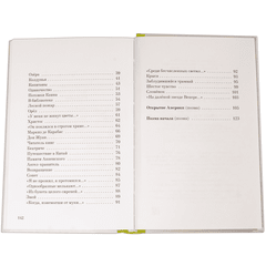 Детская книга "Николай Гумилев" - 320 руб. Серия: Поэзия юности , Артикул: 5220005