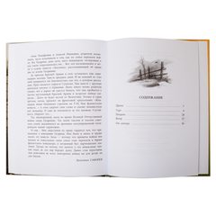 Детская книга "ВД Сафонов. Землянка" - 380 руб. Серия: Военное детство , Артикул: 5800810