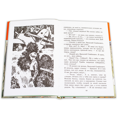 Детская книга "ШБ Гайдар. Тимур и его команда" - 370 руб. Серия: Школьная библиотека, Артикул: 5200381