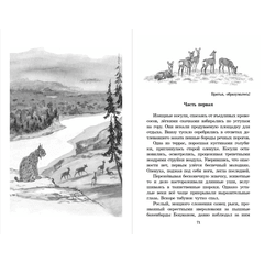 Детская книга "ШБ Зиганшин. Таежными тропами" - 720 руб. Серия: Школьная библиотека, Артикул: 5200384
