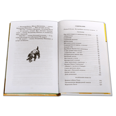 Детская книга "ШБ Пивоварова. О чем думает моя голова" - 370 руб. Серия: Школьная библиотека, Артикул: 5200110