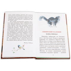 Детская книга "ШБ Вьюгина. Сибирский Валенок" - 270 руб. Серия: Школьная библиотека, Артикул: 5200283