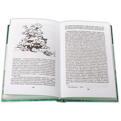 Детская книга "ШБ ТолстойЛ. Война и мир т.2(компл4т)" - 510 руб. Серия: 10 класс, Артикул: 5200027