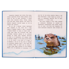 Детская книга "КзК Чаплина. Ная - выдрёнок (тверд переплет)" - 276 руб. Серия: Книга за книгой , Артикул: 5400508