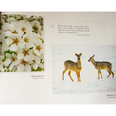 Детская книга "Мир глазами детей, фотоальбом" - 500 руб. Серия: Выгрузка, Артикул: 5900020